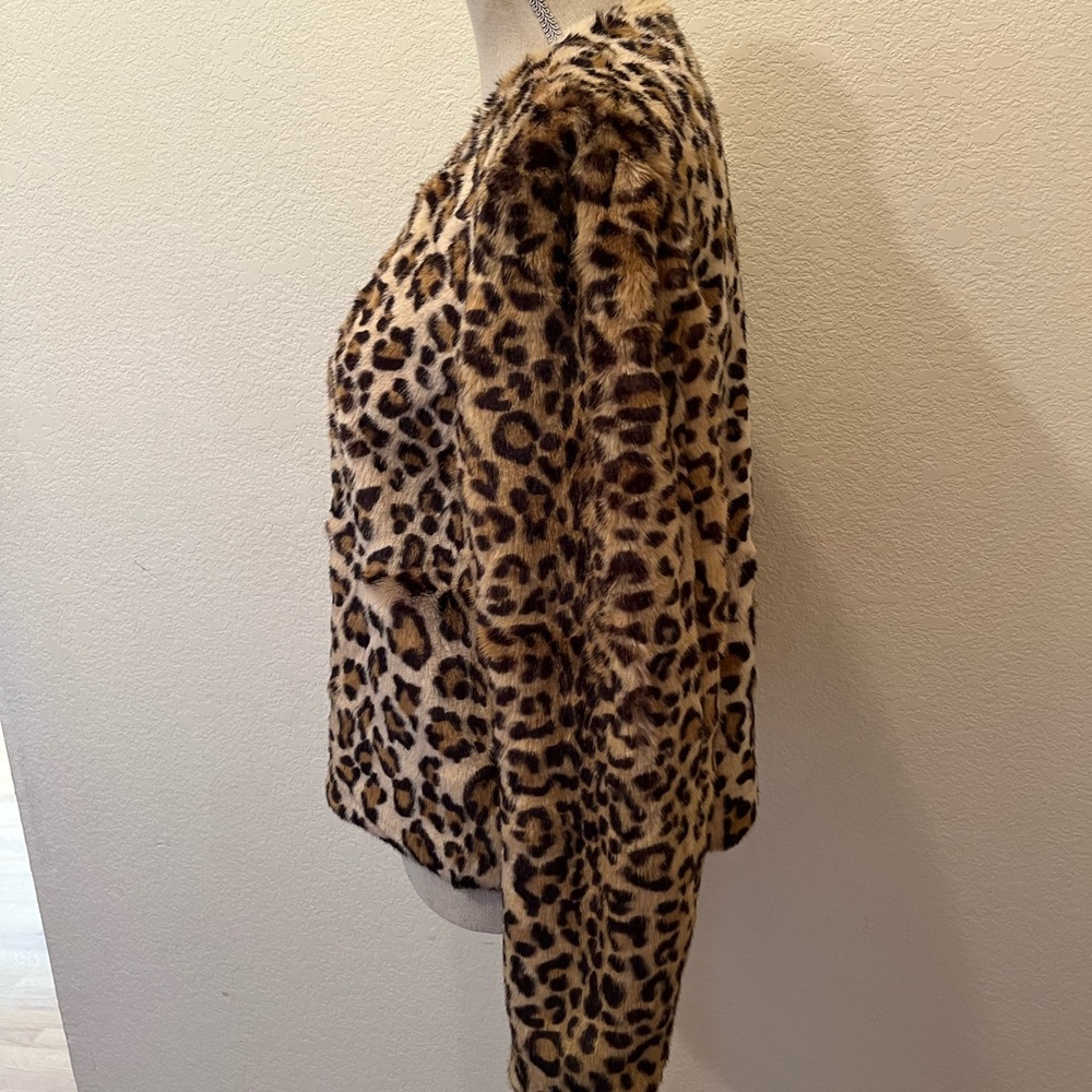 Lady Jacket - Picture 2 of 8